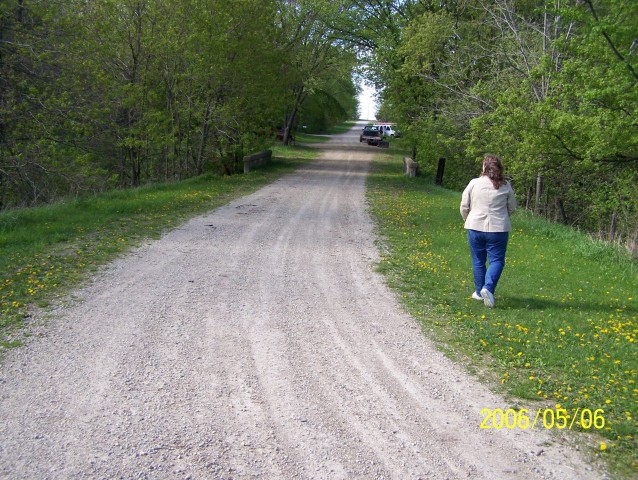 Looking north down Albany Avenue towards bridge #3978 over Chub Creek. 