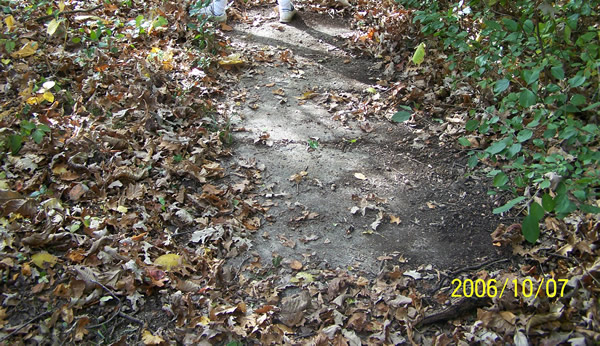 A close-up of the old concrete slab.