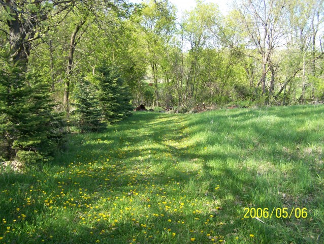 Signs of the grade predating Albany Avenue, possibly remains of the historic Dodd Road, exist just to the east. The grade leads to the old crossing of Chub Creek. 