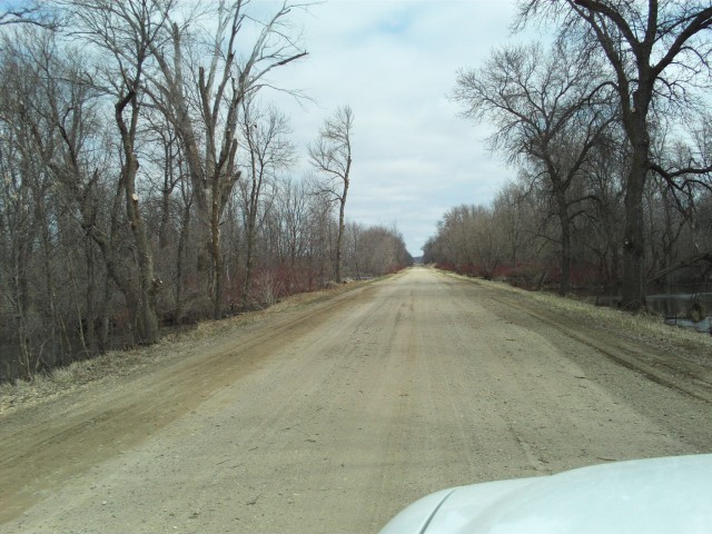 Another view to the east on the old road as it passes through the Buffalo River bottoms. 